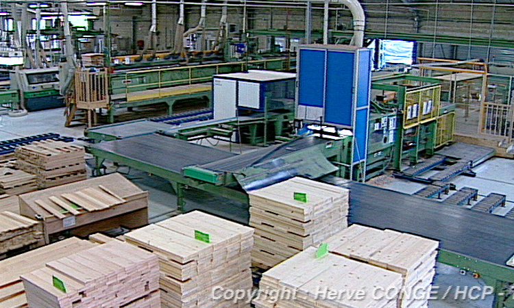 L'industrie du bois - Diversité des entreprises de la filière bois - 10mn 32s